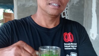 Kreasi Minuman Daun Kayu Putih, Sajian Penghangat Tubuh dari Warga Puncu