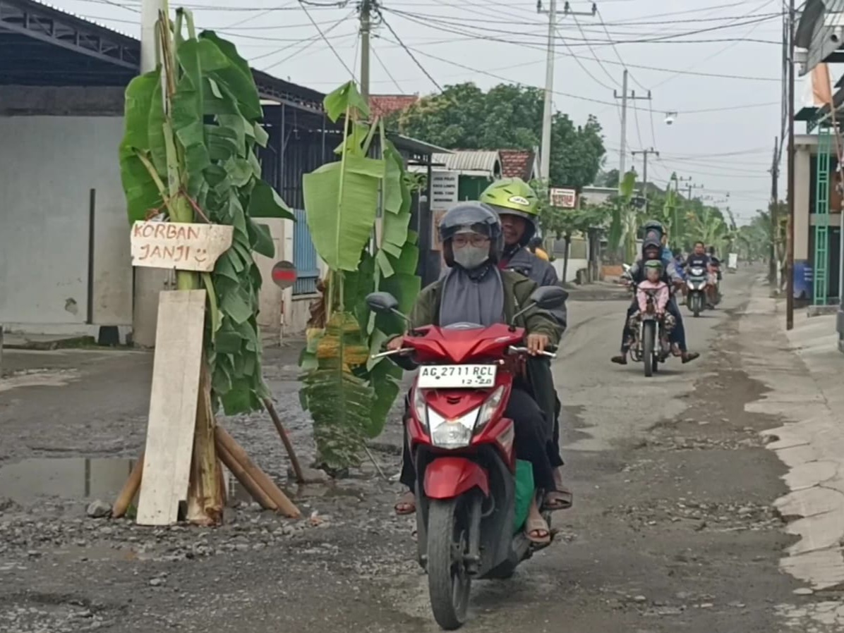Rusak Tak Kunjung Diperbaiki, Warga Ngunut Tanami Jalan dengan Pohon PisangRusak Tak Kunjung Diperbaiki, Warga Ngunut Tanami Jalan dengan Pohon Pisang