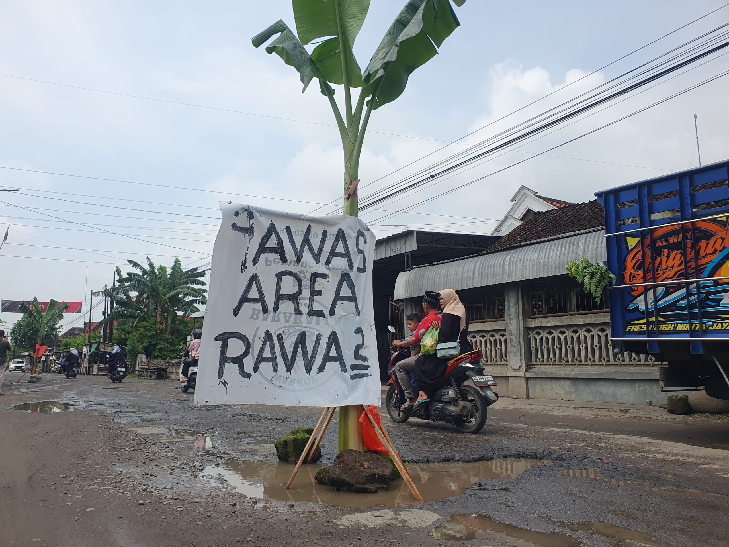 Aksi Tanam Pohon Pisang Warnai Protes Jalan Rusak, Pemkab Tulungagung Targetkan Perbaikan Tuntas Sebelum Idul Fitri