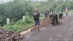 Warga Desa Kalipang, Kecamatan Grogol, Swadaya Perbaiki Jalan Desa Rusak