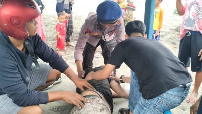 Ombak Pantai Sine Menyeret Enam Pengunjung, Satu Wisatawan Masih Dalam Pencarian