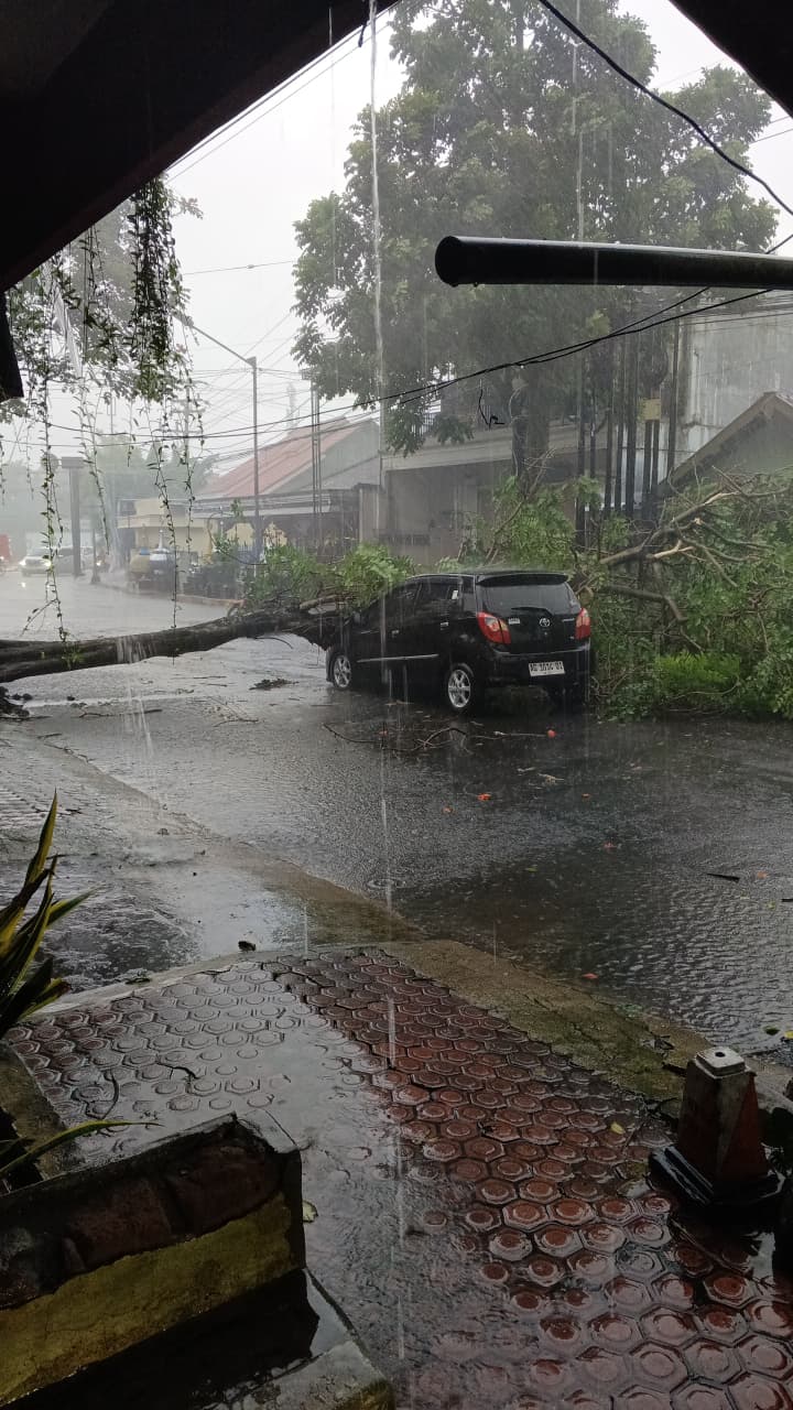 Diterjang Angin Kencang, Mobil Toyota Agya Tertimpa Pohon di Jalan Bali Blitar
