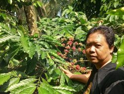 Prosesor Kopi Blitar Raih Juara II Robusta di Ajang WE Kopi Kolaborasi Season 6