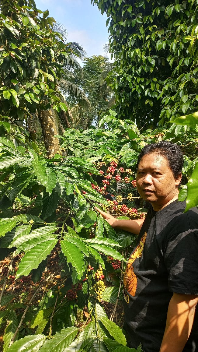 Prosesor Kopi Blitar Raih Juara II Robusta di Ajang WE Kopi Kolaborasi Season 6
