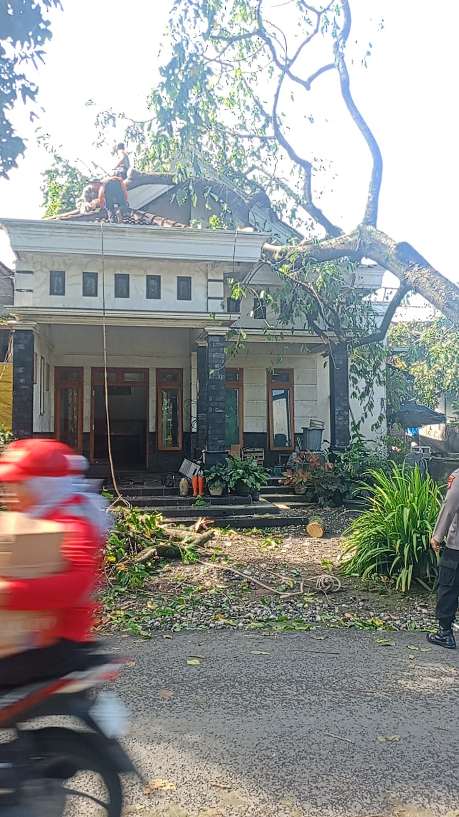 Terjangan Angin Kencang di Blitar, Dusun Sumbernanas Paling Terdampak dengan 30 Rumah Rusak