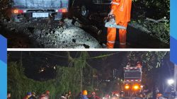 Cuaca Ekstrem, 31 Pohon Tumbang di 11 Titik Kota Batu