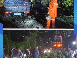 Cuaca Ekstrem, 31 Pohon Tumbang di 11 Titik Kota Batu