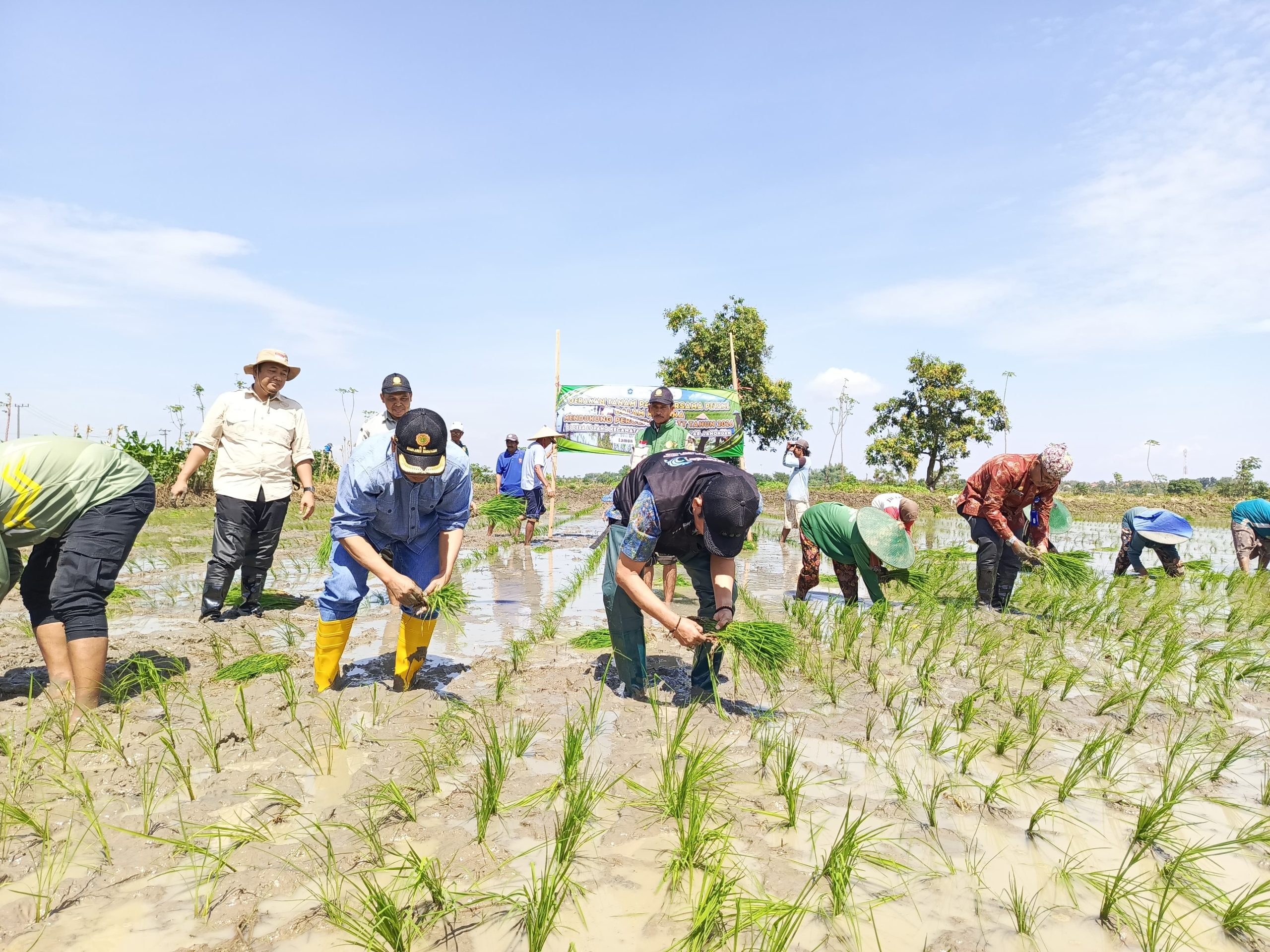 Kejar Target LTT 2026, Bupati Yes Dorong Petani Lamongan Segera Tanam Padi MT2