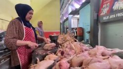 Harga Daging Ayam di Lamongan Masih “Terbang” Pasca Lebaran, Warga: Terlalu Mehong
