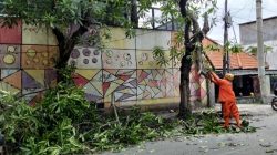 Angin Kencang Disertai Hujan Deras Terjang Kota Kediri, Sejumlah Pohon Tumbang di Delapan Titik