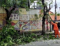 Angin Kencang Disertai Hujan Deras Terjang Kota Kediri, Sejumlah Pohon Tumbang di Delapan Titik