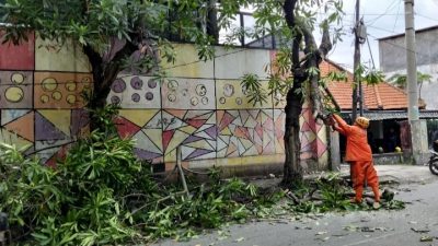 Angin Kencang Disertai Hujan Deras Terjang Kota Kediri, Sejumlah Pohon Tumbang di Delapan Titik