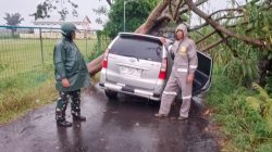 Mobil Avanza Tertimpa Pohon Tumbang Saat Hujan Deras di Tosaren, Pengemudi Luka