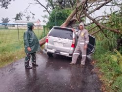 Mobil Avanza Tertimpa Pohon Tumbang Saat Hujan Deras di Tosaren, Pengemudi Alami Luka