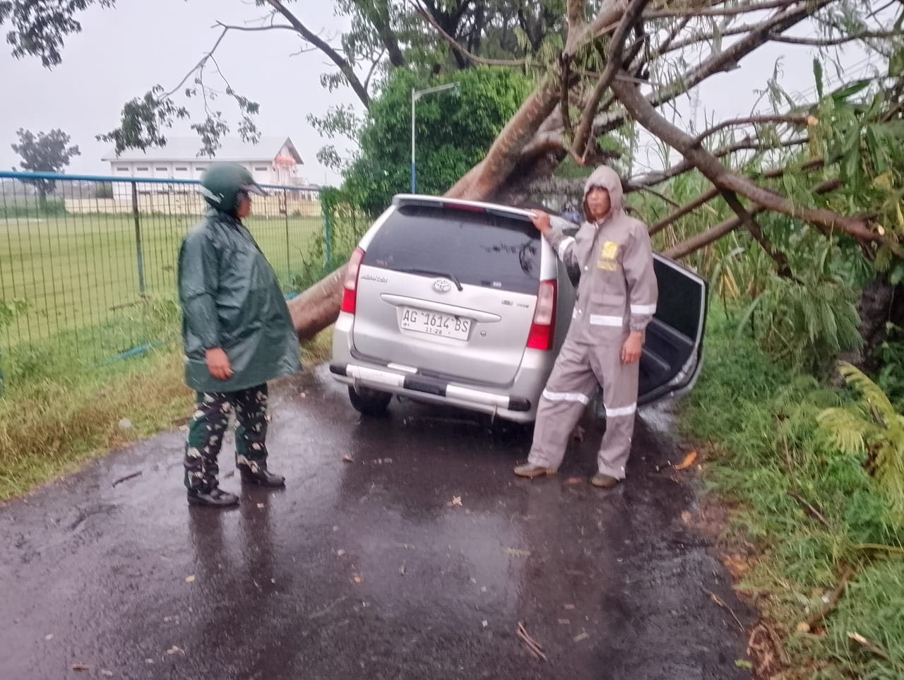 Mobil Avanza Tertimpa Pohon Tumbang Saat Hujan Deras di Tosaren, Pengemudi Luka