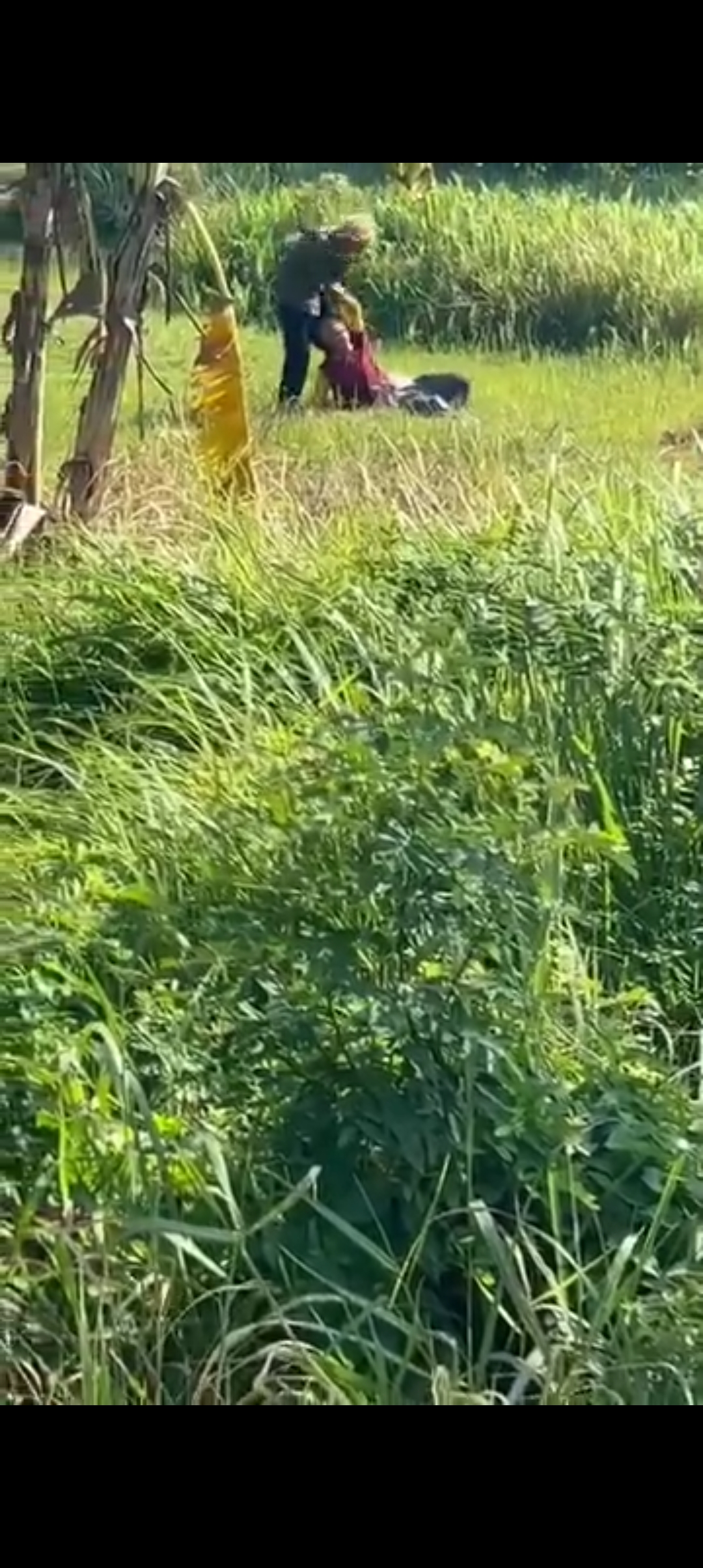 Lansia Pencari Rumput Dibacok Anjal di Perak, Pelaku Diamankan Setelah Diamuk Warga