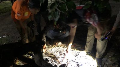 Ledakan Petasan Rakitan di Gudo Lukai Lima Remaja, Teras Rumah Warga Rusak