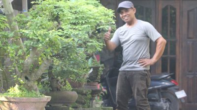 33 Tahun Menjadi Kreator Bonsai, Sukaji Terinspirasi dari Pohon di Taman Kyai Langgeng Yogyakarta