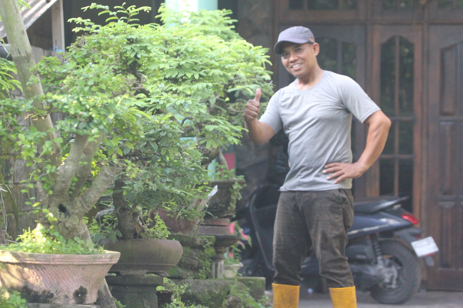 33 Tahun Menjadi Kreator Bonsai, Sukaji Terinspirasi dari Pohon di Taman Kyai Langgeng Yogyakarta