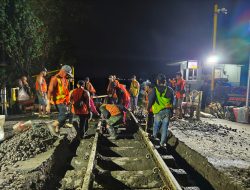 Tingkatkan Keselamatan, Patok di JPL 288 Kwadungan Dicabut dan Jalan Diperlebar