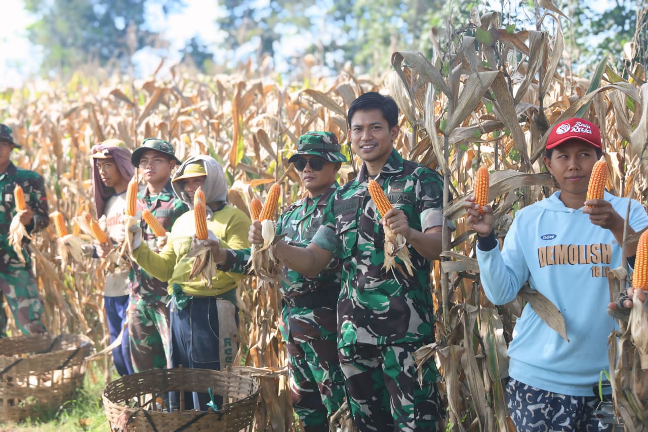 Panen Raya Jagung Warnai TMMD ke-127 di Desa Gadungan Kediri