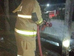 Diduga Korsleting Listrik, Kandang Ayam di Kras Kediri Ludes Terbakar