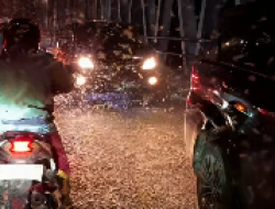 Pengguna Jalan Terganggu Serbuan Laron di Jembatan Kertosono