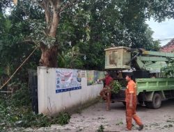 DLH Pangkas Pohon di Sekretariat PWI Nganjuk, Hindari Pohon Roboh