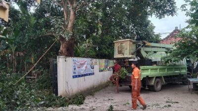 DLH Pangkas Pohon di Sekretariat PWI Nganjuk, Hindari Pohon Roboh