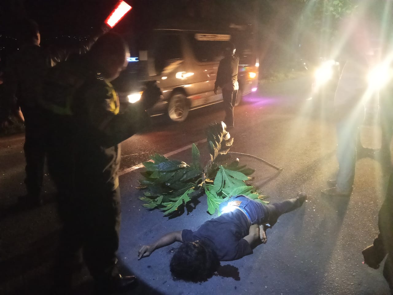Hendak Dahului Minibus Elf, Pemotor di Tulungagung Tewas Usai Bersenggolan hingga Adu Banteng dengan Mobil