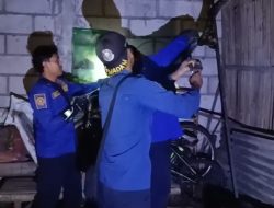 Damkar Amankan Ular Sanca Pemangsa Unggas di Mojo