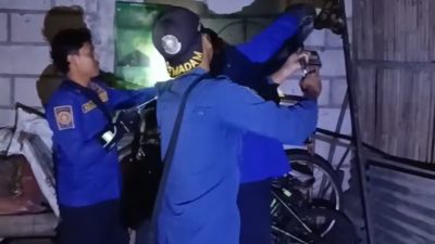 Damkar Amankan Ular Sanca Pemangsa Unggas di Mojo
