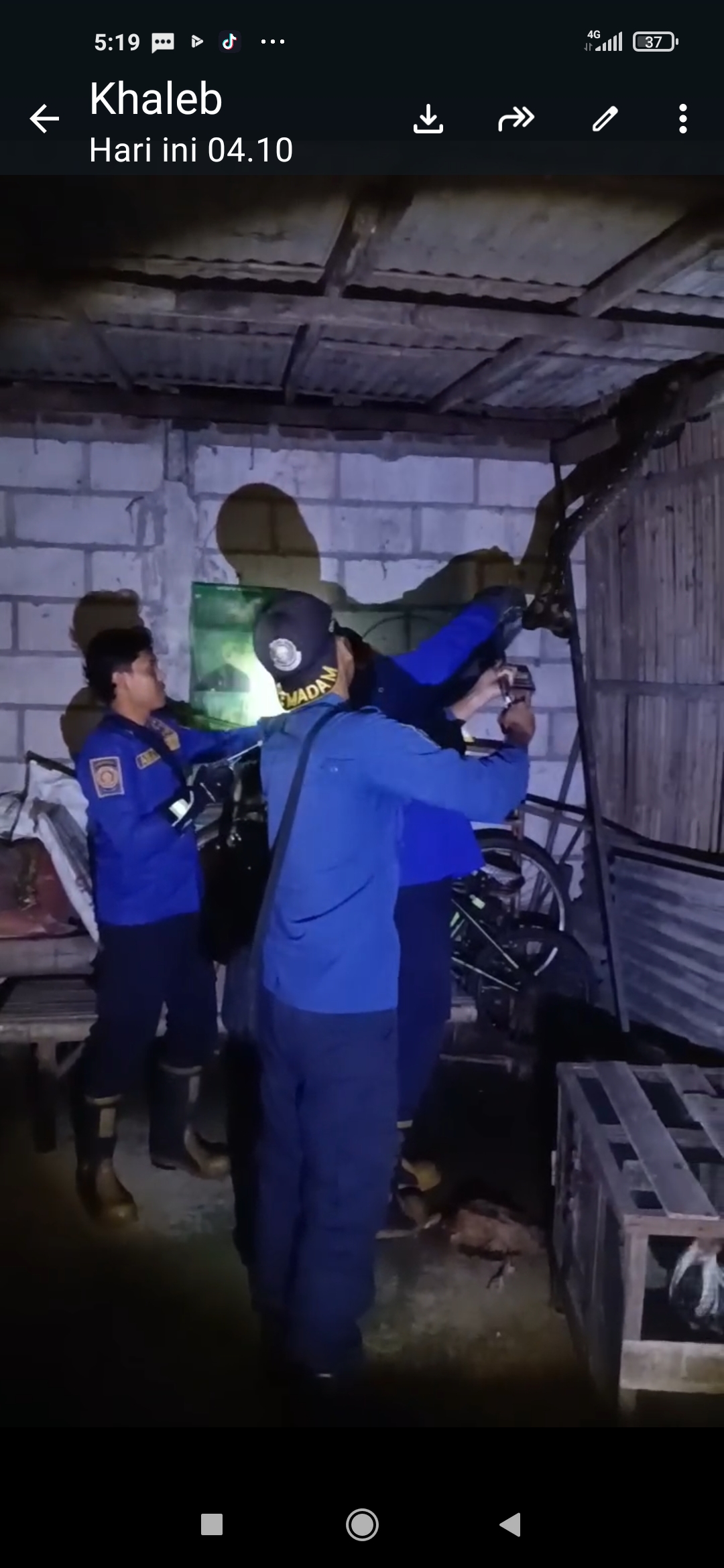 Damkar Amankan Ular Sanca Pemangsa Unggas di Mojo