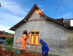 Kasus Serangan Tawon Vespa di Tulungagung Meningkat, Awal 2026 Sudah Capai 223 Kasus