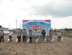 Wujudkan Ketahanan Pangan, Polres Blitar Tanam Jagung Serentak