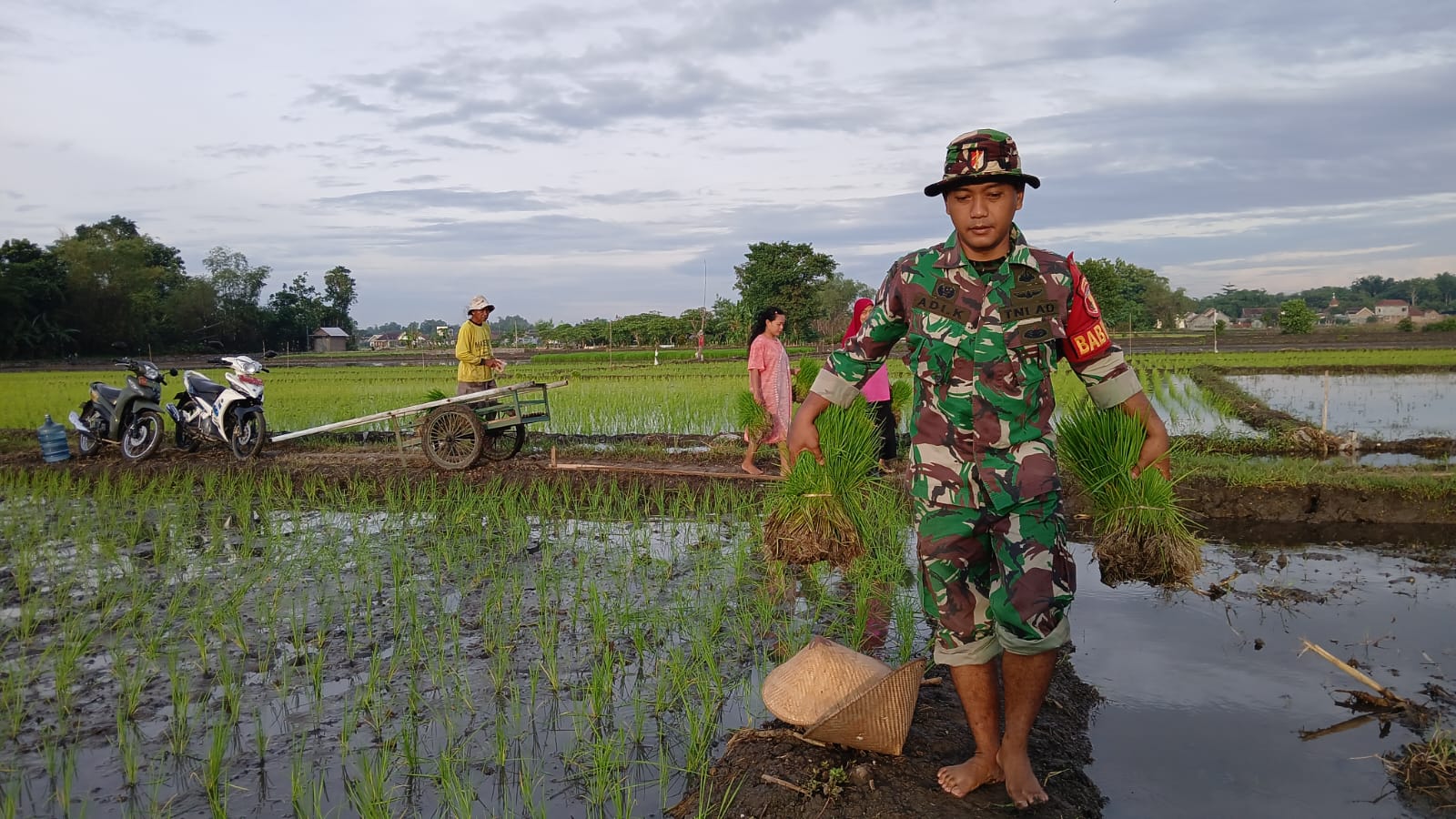Dari Sawah hingga Bedah Rumah, Babinsa Jombang Hadir Dampingi Petani dan Bantu Warga