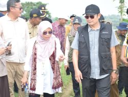 Hadapi El Nino Moderat, Dirjen Tanaman Pangan dan Bupati Lamongan Tinjau Optimalisasi Embung Sumenko