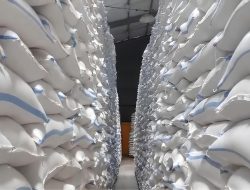 Stok Beras Dipastikan Aman 14 Bulan, BULOG Kediri Siap Hadapi Ancaman El Nino