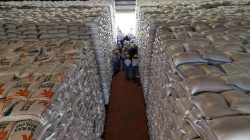 Stok Beras Nasional Tembus 5 Juta Ton, Perum BULOG Kediri Sewa Gudang, Jamin Kebutuhan Pangan 12 Bulan Aman