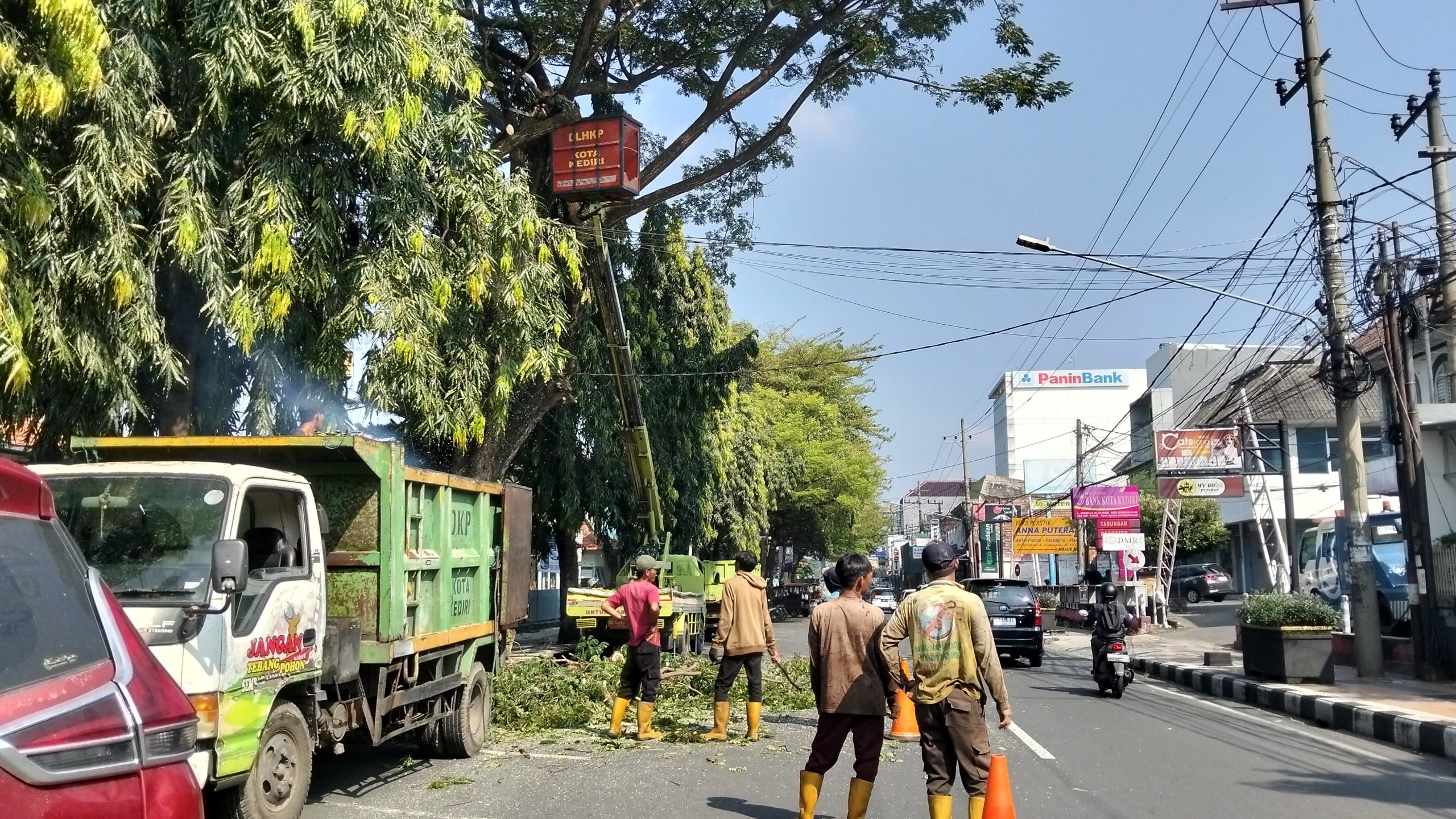 Antisipasi Pohon Tumbang, DLHKP Kota Kediri Pangkas Dahan di Jalan Brawijaya