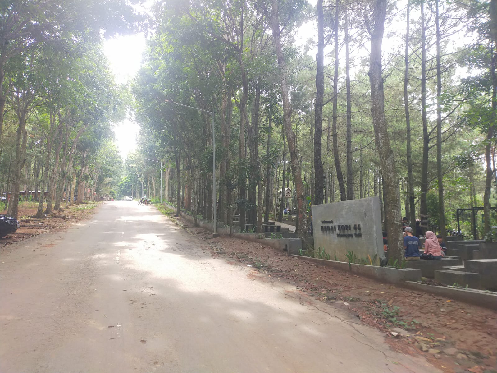 Padahal, kawasan Hutan Pinus Plapar memiliki potensi alam yang cukup kuat sebagai destinasi unggulan di wilayah Kecamatan Semen. Namun tanpa inovasi, promosi yang masif, serta agenda wisata yang berkelanjutan, jumlah kunjungan dinilai sulit meningkat.