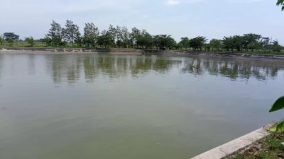 Salah satu embung di Kabupaten Kediri untuk kebutuhan pengairan pertanian (ist)