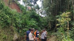 Hujan Lebat Picu Longsor dan Angin Kencang di Tulungagung, Akses Jalan Tertutup dan 18 Rumah Terdampak