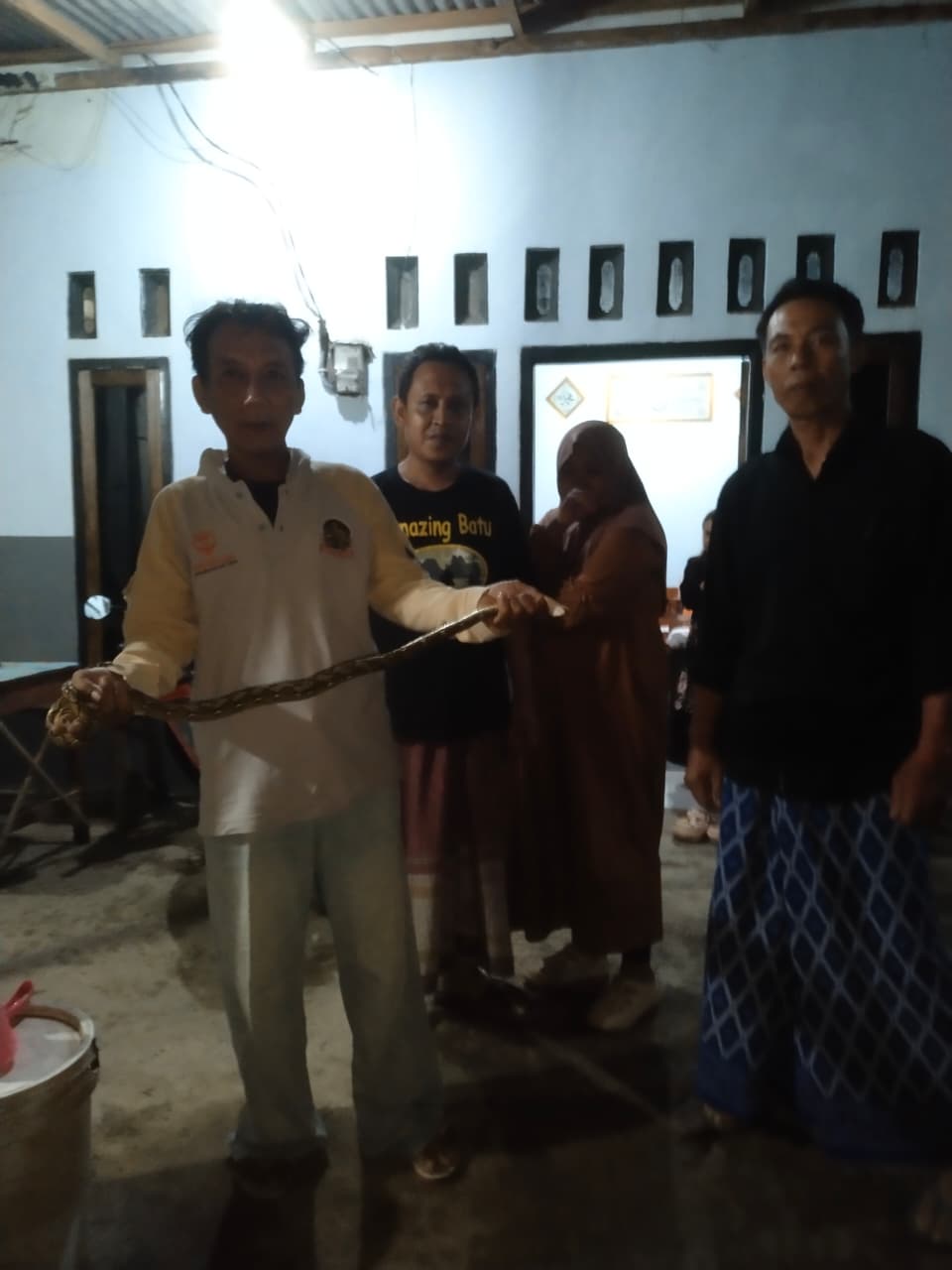 Relawan Tantular Evakuasi Anak Ular Piton yang Masuk Rumah Warga di Kediri