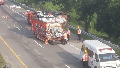Dua Orang Tewas dalam Kecelakaan Truk di Tol Jombang–Mojokerto