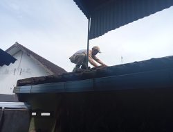 Ular Masuk Kamar Mandi TPQ di Purwoasri, Dievakuasi Relawan