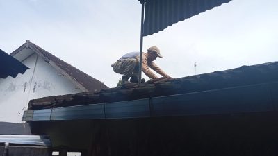 Ular Masuk Kamar Mandi TPQ di Purwoasri, Dievakuasi Relawan