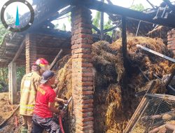 Diduga Korsleting Listrik, Kandang Sapi di Kediri Ludes Terbakar