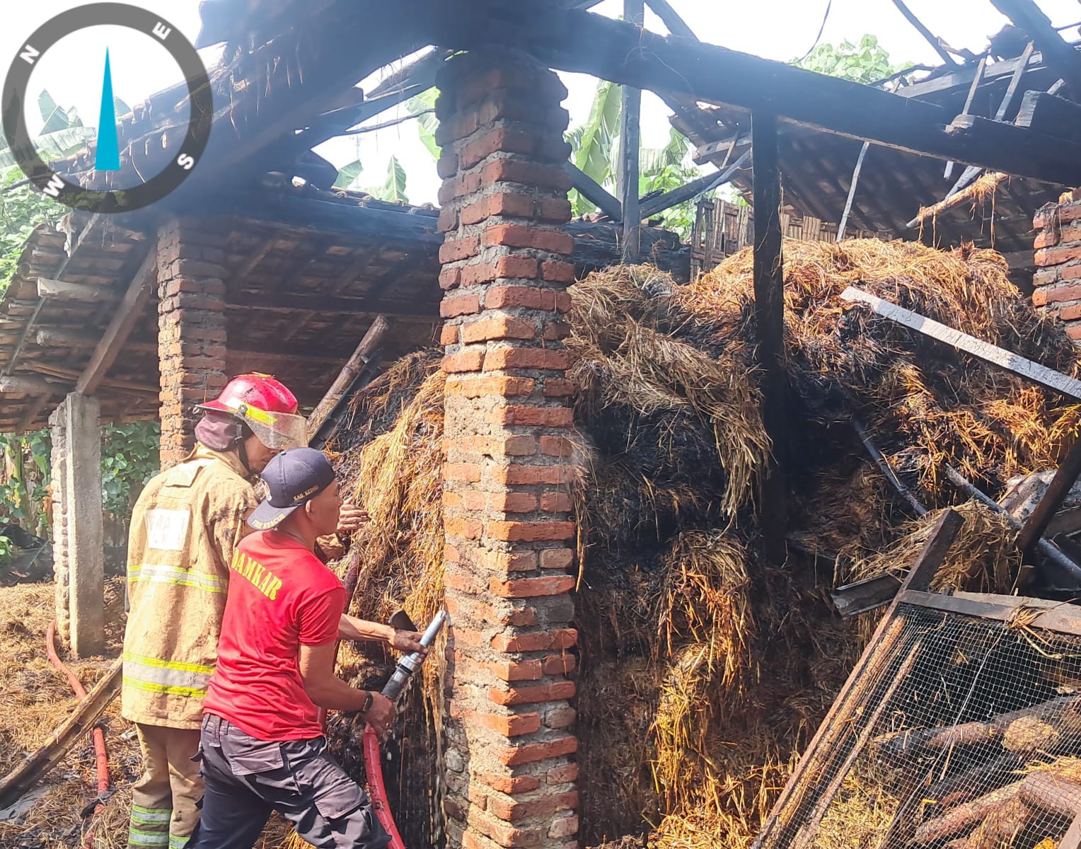 Diduga Konsleting Listrik, Kandang Sapi di Kediri Ludes Terbakar