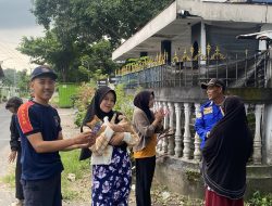 Kucing Terjebak di Plafon Rumah Warga, Damkar Kediri Lakukan Evakuasi